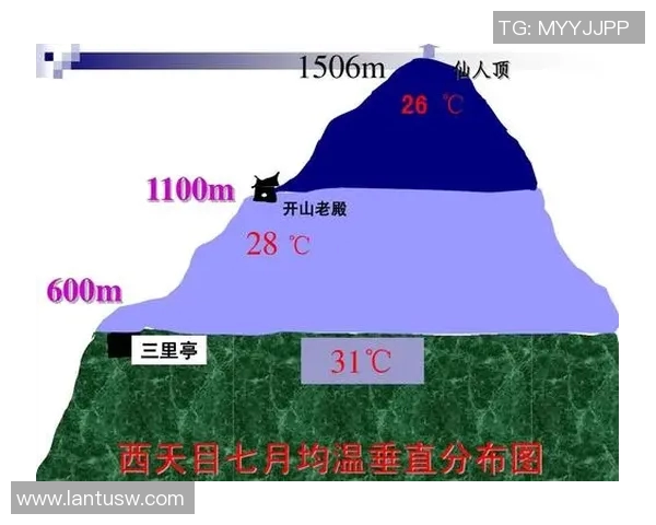 上海足球队边路渗透战术分析及其对比赛结果的影响探讨